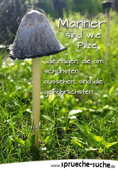 sprüche pilze